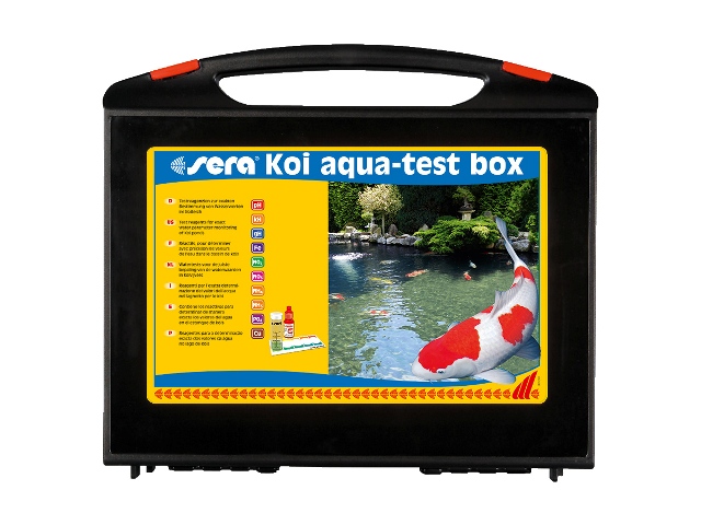 test box koi