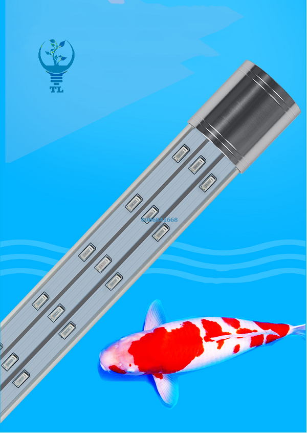 Đèn led tăng màu cho cá rồng DCK01 Đèn led tăng màu cho cá rồng DCK01