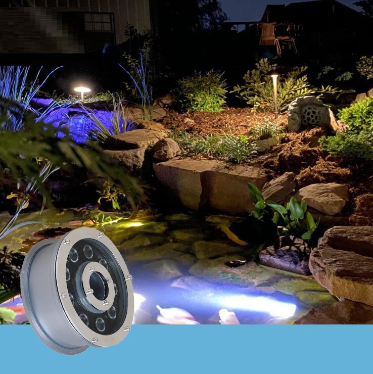 How to maintain a koi pond